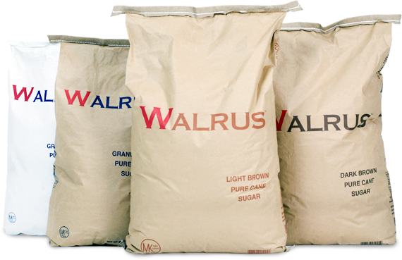 walrus sacos